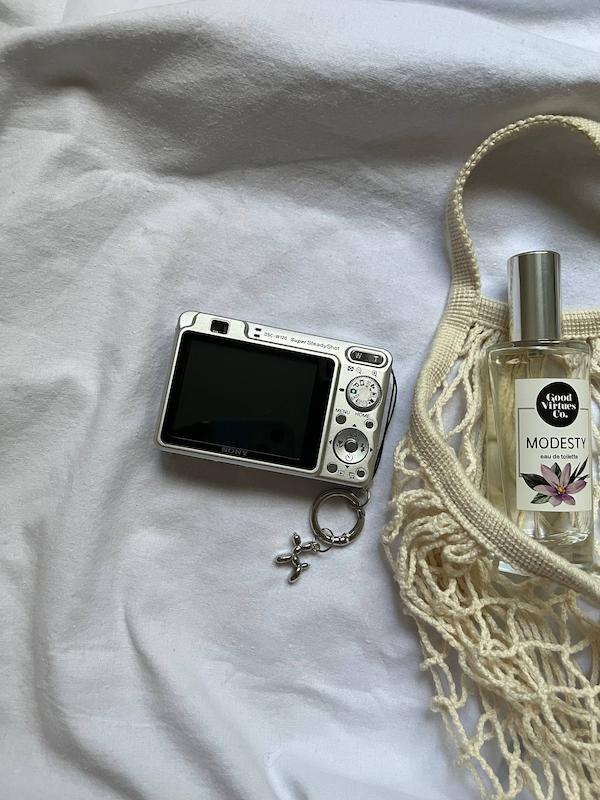 Sony sybershot DSC-W120