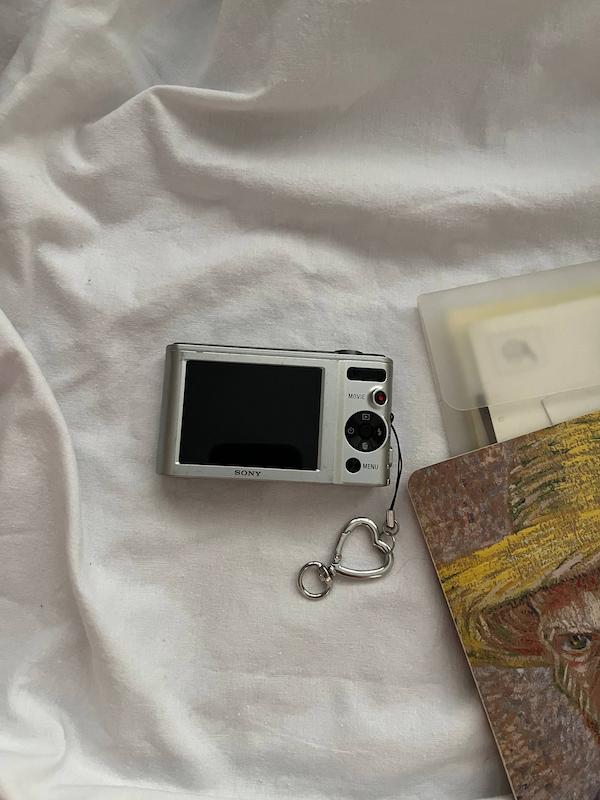Sony sybershot DSC-W800