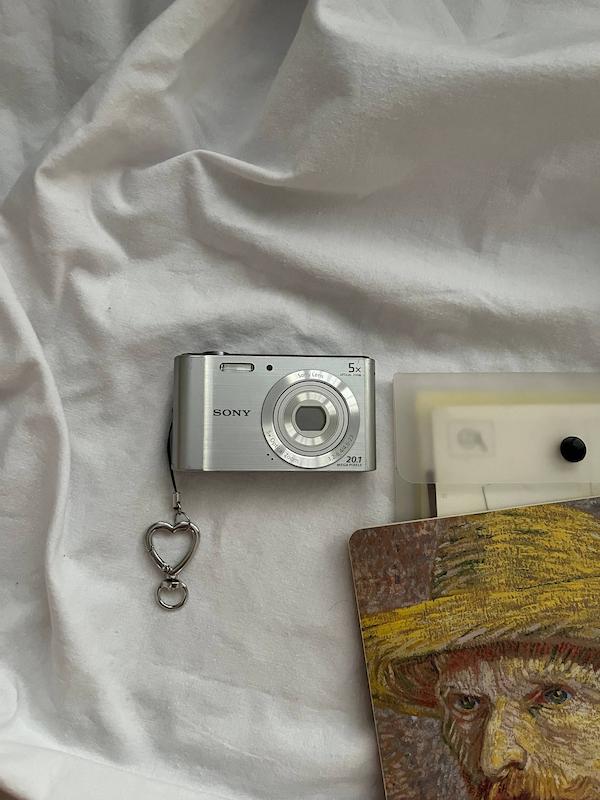 Sony sybershot DSC-W800