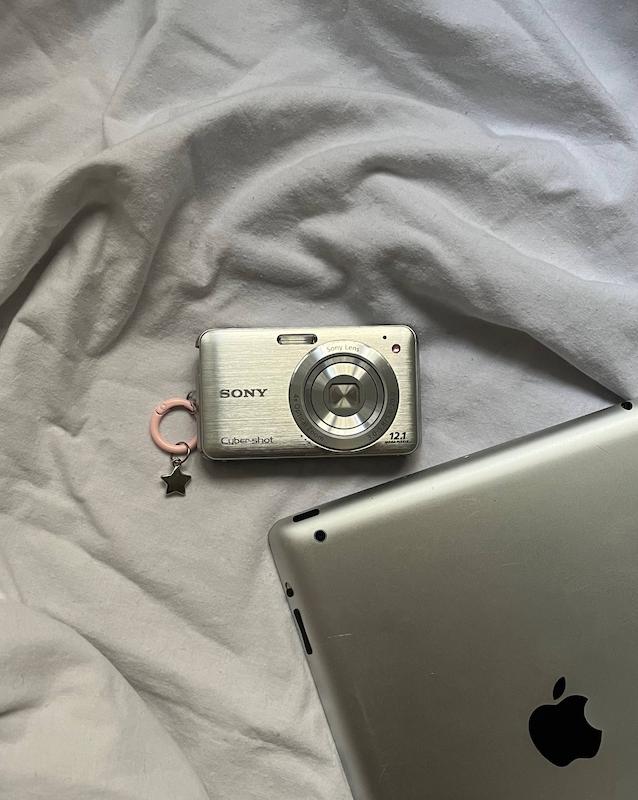 Sony sybershot DSC W-310