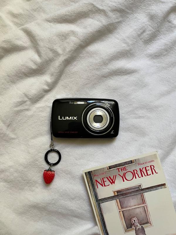 Panasonic lumix DMC-S1