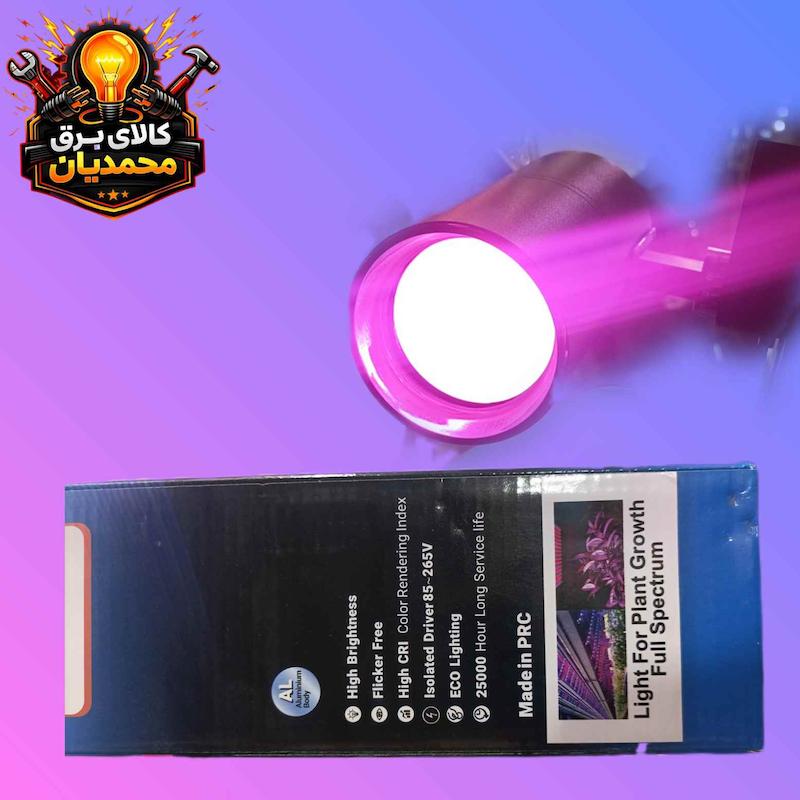 چراغ ریلی رشت گیاه