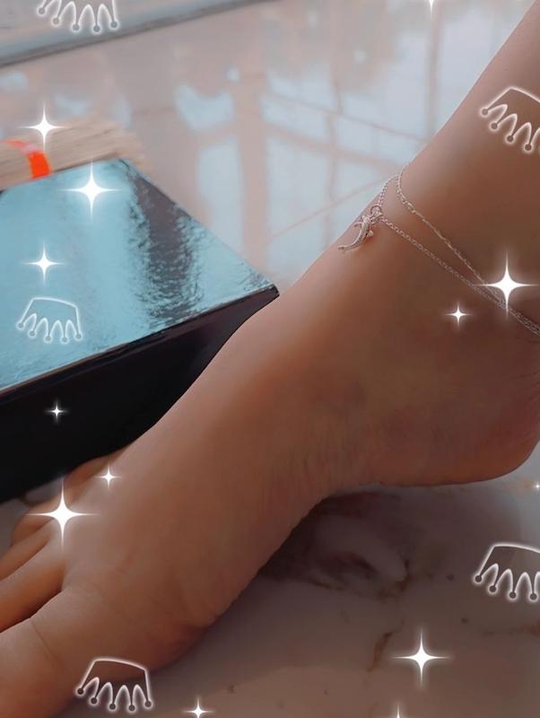 پابند دلفین