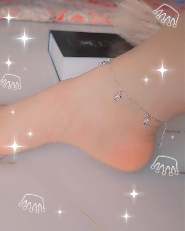 پابند دلفین