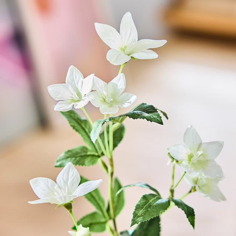 گل لیسیانتوس ایکیا SMYCKA، سفید، ارتفاع ۶۰ سانتی‌متر