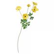 گل آلاله زرد ایکیا مدل SMYCKA، ارتفاع ۶۳ سانتی‌متر