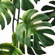 گیاه آویز ایکیا مدل FEJKA Monstera