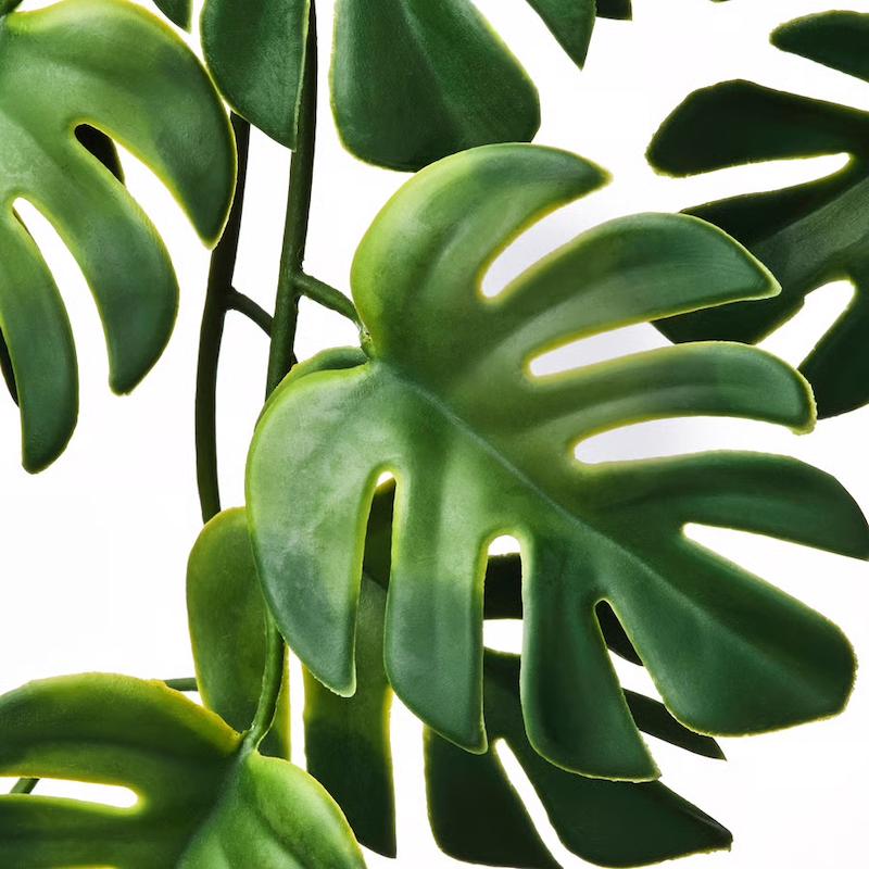 گیاه آویز ایکیا مدل FEJKA Monstera
