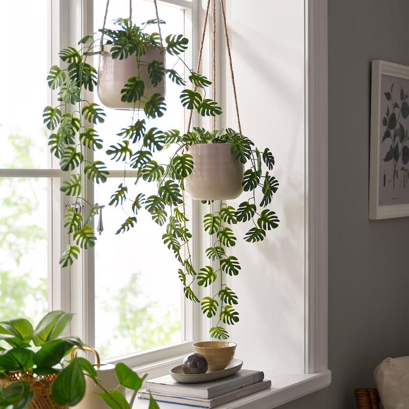 گیاه آویز ایکیا مدل FEJKA Monstera