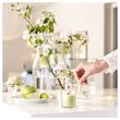 شمع معطر ایکیا مدل LOVSKOGSLUND - رایحه سیب - ۲۰ ساعته