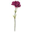 گل بنفش ایکیا مدل  SMYCKA 