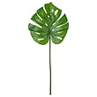 برگ ایکیا مدل  SMYCKA MONSTERA 