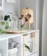ليوان 450 ميلی ليتر  ایکیا مدل IVRIG 