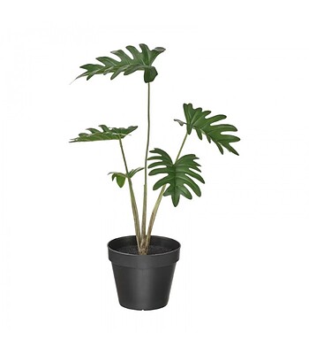 گلدان گياه ایکیا مدل FEJKA philodendron 