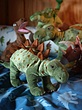 عروسک دايناسور ایکیا مدل JATTELIK stegosaurus