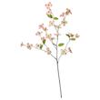 گل صورتی ایکیا مدل SMYCKA dogwood 