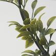 گلدان گياه ایکیا مدل FEJKA Myrtle 