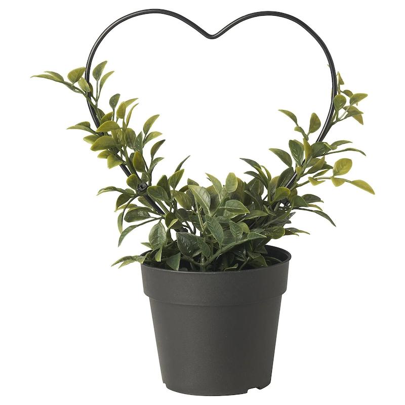 گلدان گياه ایکیا مدل FEJKA Myrtle 