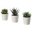 ست 3 عددی گلدان گياه ایکیا مدل FEJKA succulent 