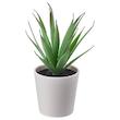 گلدان گياه ایکیا مدل FEJKA succulent 