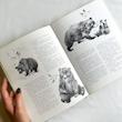 Les animaux du bord de l'eau