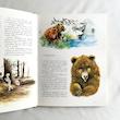 Les animaux du bord de l'eau