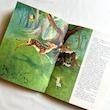 Les animaux du bord de l'eau