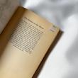The House on the Shore