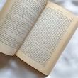The Tenant of Wildfell Hall