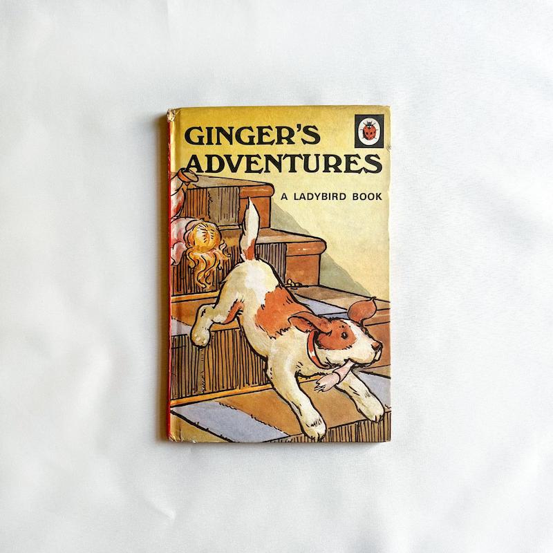 Ginger's Adventures