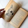 The Yellow Story Book