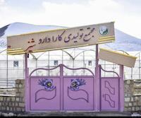 شرکت کارا داروی شیز