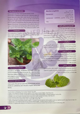 پونه