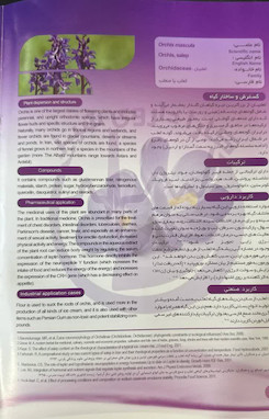ثعلب