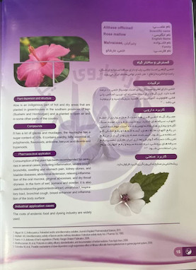 ختمی مارشالو
