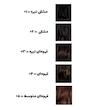 پودر پرپشت کننده مو پرفکت 25 گرم