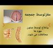 پاورپوینت     علوم پنجم درس پنجم درس ماهیچه و استخوان ها *کیفیت عالی،32اسلاید