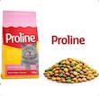 غذای گربه بالغ پرولاین(proline) فله ای_بسته 1kg
