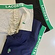 شورت LACOSTE - پک 3 عددی - کد 008