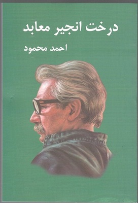 کتاب درخت انجیر معابد دوجلدی احمد محمود 