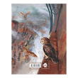 هری پاتر 1 : سنگ کیمیا (نسخه تصویری)