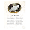 هری پاتر 2 : تالار اسرار آمیز (نسخه تصویری)