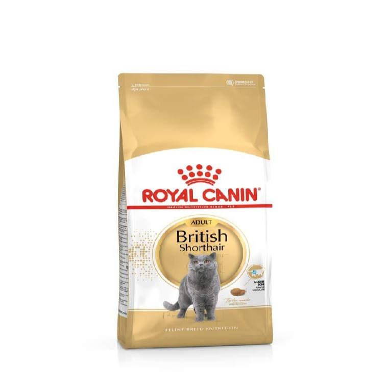 رویال کنین British short hair
