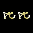 گوشواره طلا مدل AC کد GA16291
