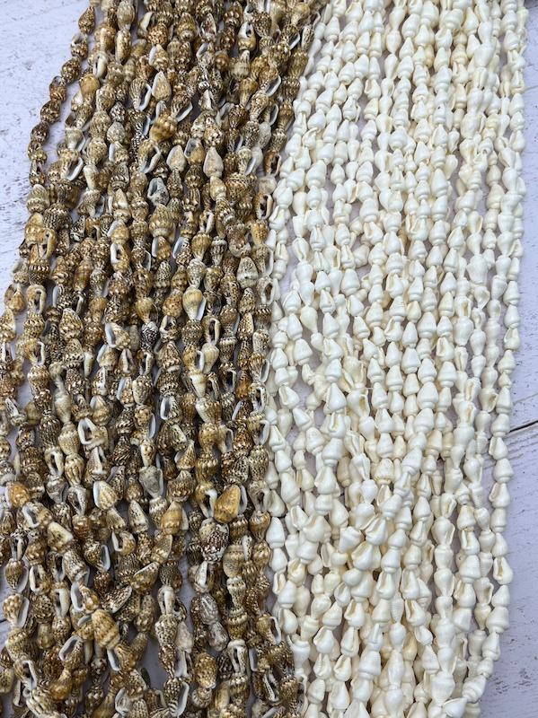 صدف ریسه ای