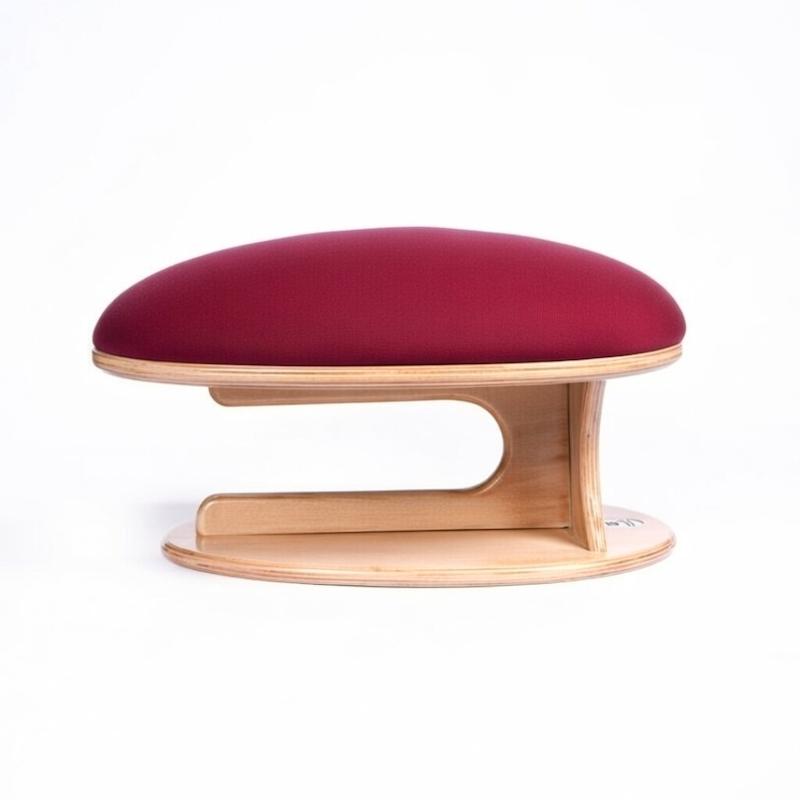 ژانت بالشتک پایه دار حرفه ای 