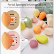کیف اسفنج آرایشی سیلیکونی وارداتی