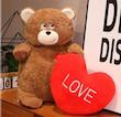 عروسک خرس سورپرازی 