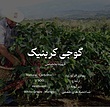 قهوه تخصصی گوجی کربنیک