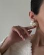 گوشواره چهار دایره صدفی